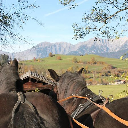 Apartamento Oberdeutinghof Saalfelden Exterior foto