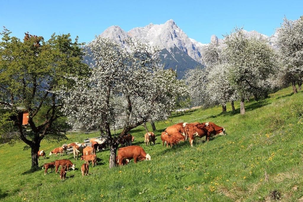 Apartamento Oberdeutinghof Saalfelden Exterior foto